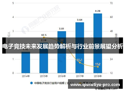 电子竞技未来发展趋势解析与行业前景展望分析